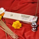 Shri Nikunj Incense Stick | Pack of 2 | 40 Sticks each Pack