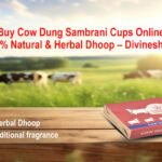 Buy Cow Dung Sambrani Cups Online | 100% Natural & Herbal Dhoop – Divineshree
