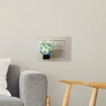 Kapur Dani with Light Lamp