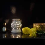 Ceramic Oil Diffuser