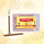Panchtatva Incense Stick |Pack of 2 |Eco-Friendly & Bamboo Less