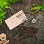 Panchtatva Dhoop Cones | Pack of 2 | 50 Dhoop Cones each Pack | Eco-Friendly & Charcoal Free